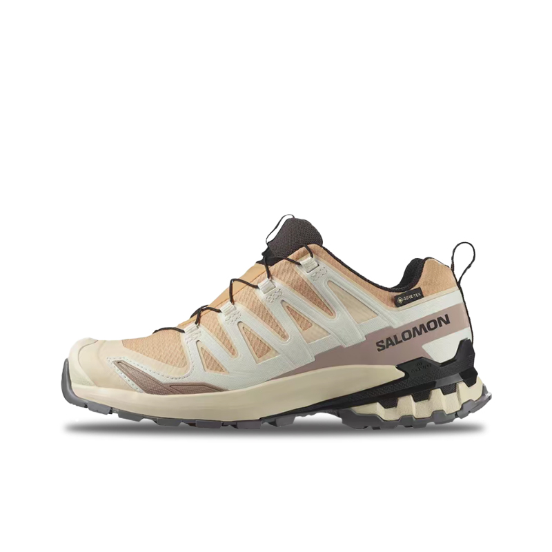 Salomon XA Pro 3D V9 GTX: Zapa - Salomon Shoes Xa Pro 3D reseña y precio